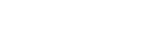 EAGLE VISION -カートナビ-